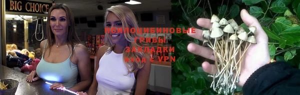 эйфоретик Балахна