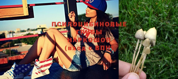 эйфоретик Балахна