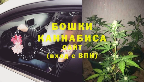 эйфоретик Балахна