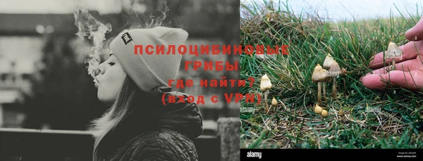 дмт Сатка
