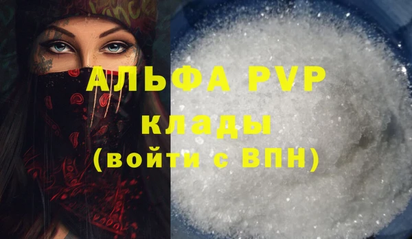 шишки Беломорск