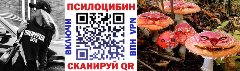 Псилоцибиновые грибы MAGIC MUSHROOMS  наркота  Вязники 